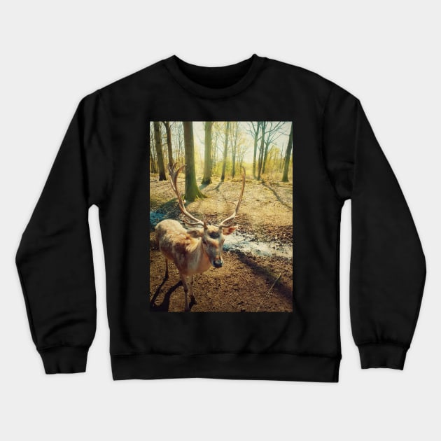 stag Crewneck Sweatshirt by psychoshadow